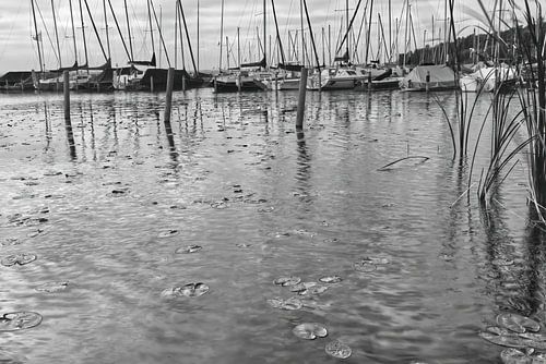 Pier met zeilboten in kalm meer