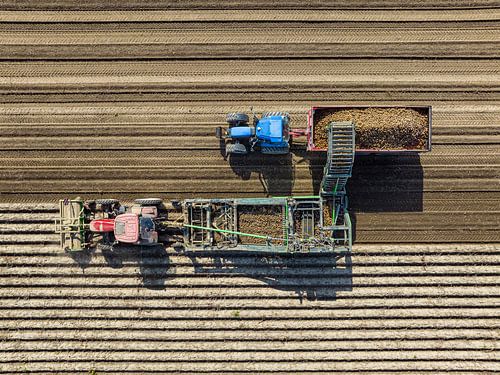 Tractoren rooien aardappelen in een veld van bovenaf gezien