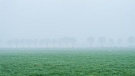 Trees in the fog by John Goossens Photography