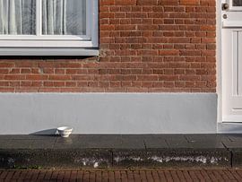 Warten auf die Katze