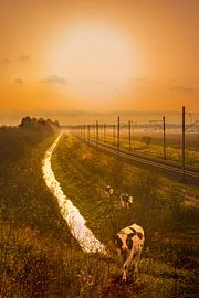 On trail by Hannie Kassenaar