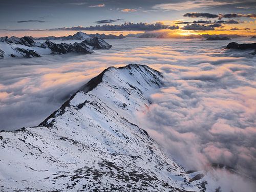 Stilfser Joch Nationalpark II