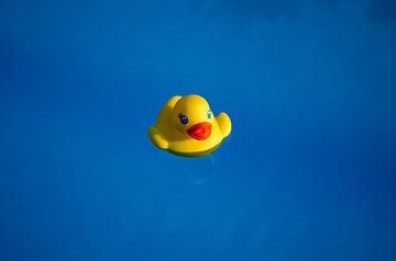 Geel rubbereendje in een blauw zwembad van Dennis  Georgiev