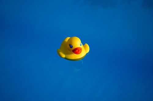 Canard en caoutchouc jaune dans une piscine bleue