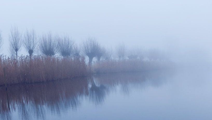 Misty by Bram Kool