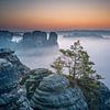 Nebel am Ferdinandstein - Sächsische Schweiz (Elbsandsteingebirge) von t.ART