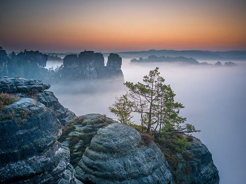 Nebel am Ferdinandstein - Sächsische Schweiz (Elbsandsteingebirge)