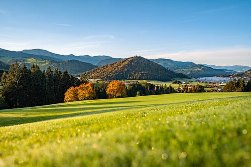 Eerste zonnestralen in de herfst met uitzicht op de Hochgrat, Staufen en Oberstaufen