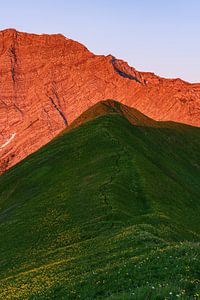 Wandern in Tirol nahe der Gartnerwand bei Reutte, Ehrwald in Österreich. Sonnenaufgang mit Alpenglüh