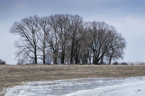 Walking on a cold day and discovering a beautiful landscape. With bare trees that confirm the winter