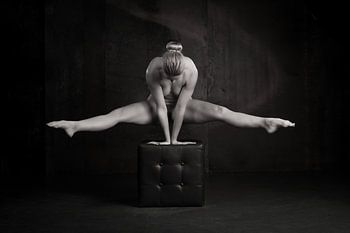 De Gestrekte Gratie: Ballerina op het Podium van de Stilte