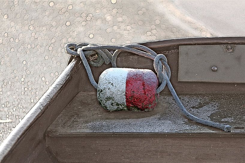 Bootje in ijs van Wybrich Warns