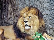 Löwe, König der Tiere von Eduard Lamping Miniaturansicht