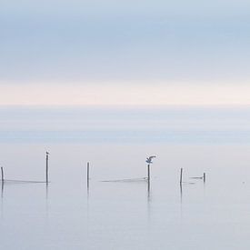 Gouwzee in de mist van Monika Wolters