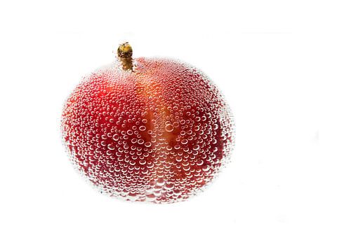 Rote Pflaume in Wasser