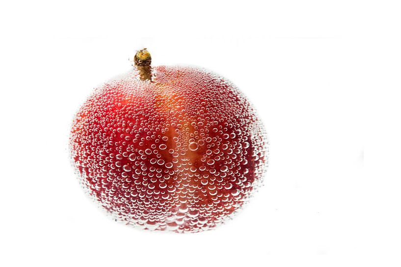 Rote Pflaume in Wasser von Elly Damen
