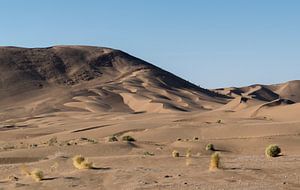 Iran : des dunes de sable entre Yazd et Tabas