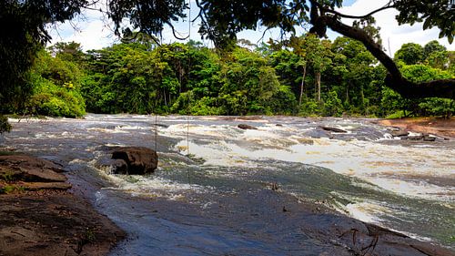 Rivier bij het eiland Awarradam in Suriname