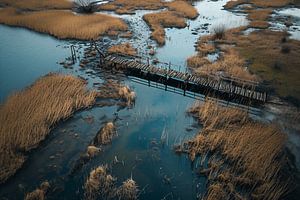 Wasserlandschaft