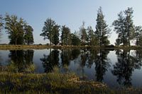Ven in Nationaal Park Drents-Friese Wold (Appelscha)