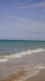 le vent dans les voiles sur shauni embrechts