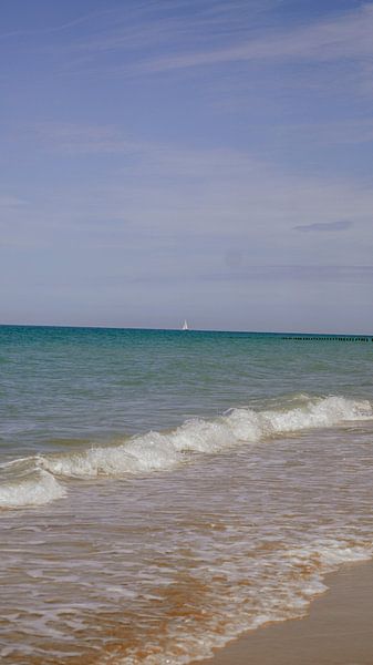 wind in the sails by shauni embrechts