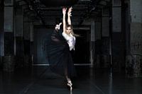 dance with the wolf 3