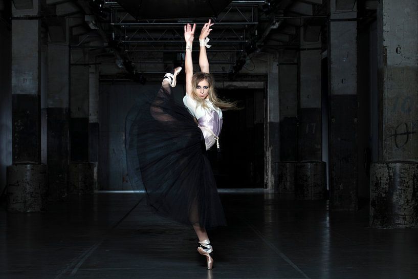 dance with the wolf 3 by ruut dijkstra