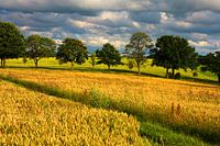 Landschap bij Chemnitz