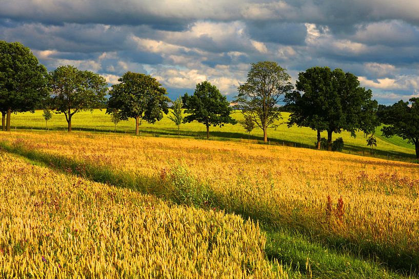 Landscape near Chemnitz by Erwin Martin