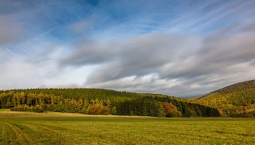 Indian Ardenner Summer 