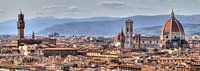 Florence panorama van Dennis van de Water thumbnail
