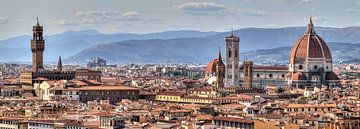 Florence panorama by Dennis van de Water