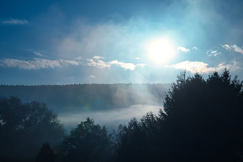 Bomen in het bos in de mist bij zonsopgang van Martin Köbsch