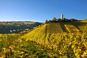 Burg Scharfenstein bei Kiedrich im Rheingau sur Christian Müringer