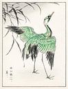 Jufferkraanvogel en riet illustratie door Numata Kashu van Studio POPPY thumbnail