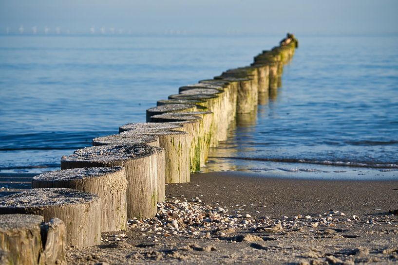 Buhne in Zingst an der Ostsee. Buhnen reichen ins Meer. Landschaftsaufnahme von Martin Köbsch