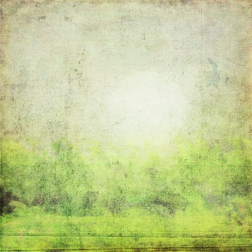 Mistige ochtend - Abstract landschap