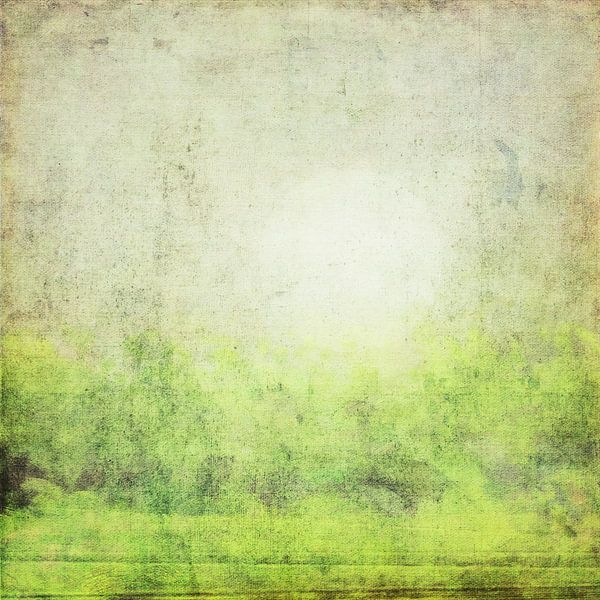 Nebliger Morgen - Abstrahierte Landschaft von Western Exposure