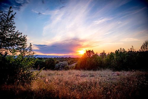 Peace and quiet on a Tuscan hill