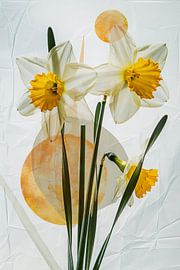 Narcissen - Helder narcissen-kunstwerk van Poster Art Shop