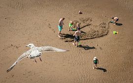 Möwe über dem Strand von Scheveningen von Martijn Beekman