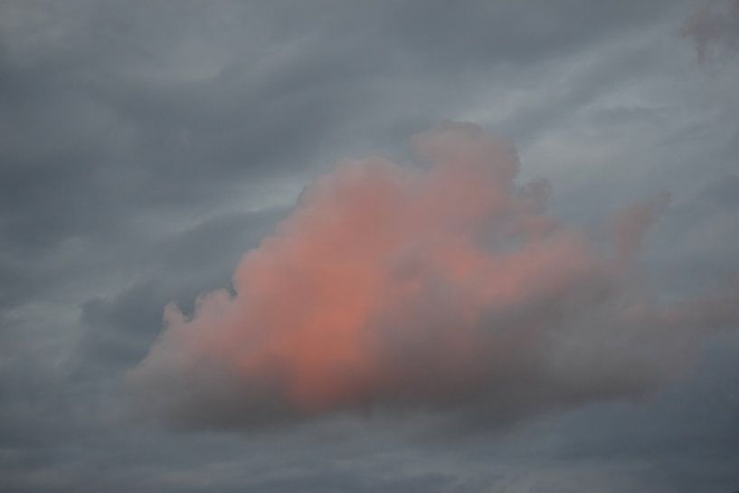 Roze wolk van Nicolette Vermeulen