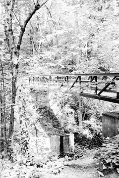 Holzbrücke im Wald, Limburg (die Niederlande) von Henriëtte Mosselman