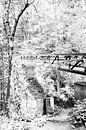 Houten brug in een Limburgs bos van Henriëtte Mosselman thumbnail