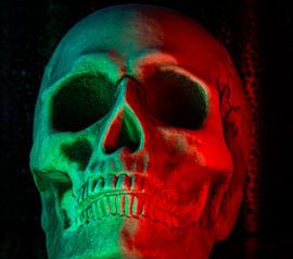 Crâne sur Onno van Kuik