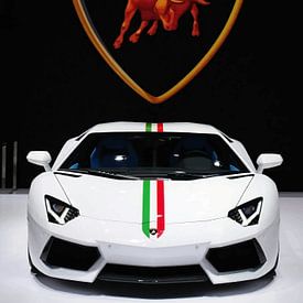 Lambo Sportwagens van bob rendy