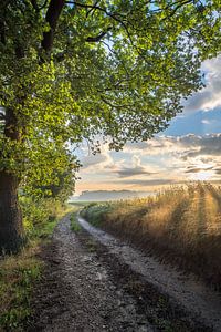 Lever de soleil sur une route de campagne à Windraak