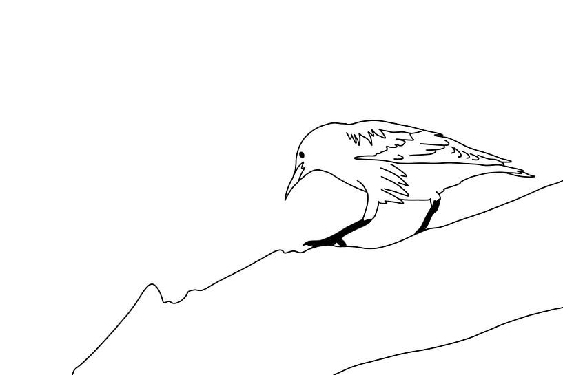Starling von MishMash van Heukelom