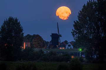 Blue Moon Heusden sur Zwoele Plaatjes